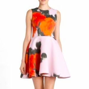 MSGM Rose Print Full Skirt Scuba Dress